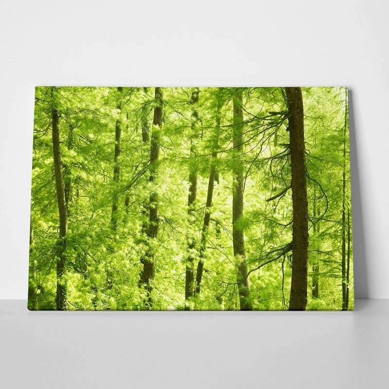 Πινακας σε καμβά GREEN FOREST