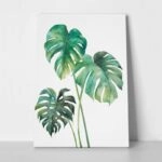 OUTLET Πινακας σε καμβά MONSTERA LEAVES 80cm x 120cm