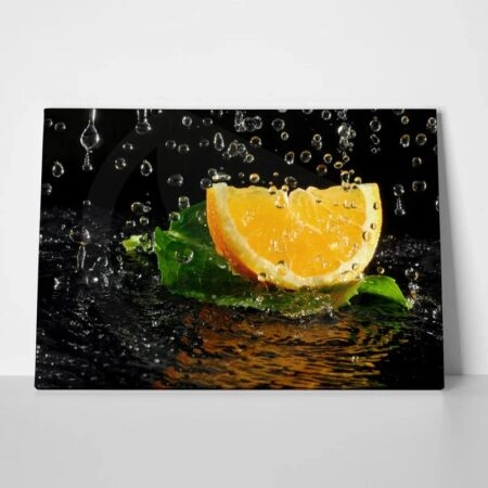 Πινακας σε καμβά ORANGE 2