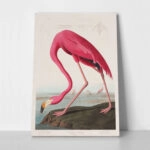 Πινακας σε καμβά PINK FLAMINGO