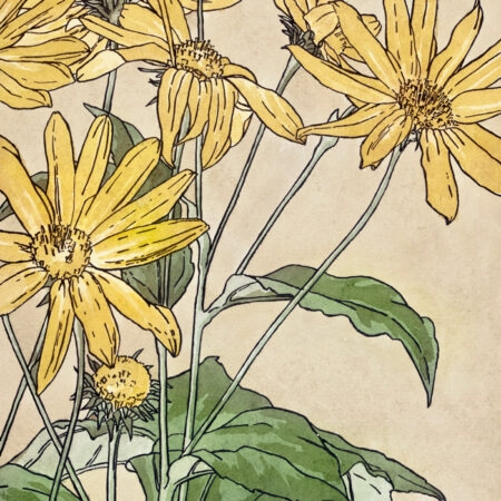 Πινακας σε καμβά WATERCOLOR SUNFLOWERS - Ηλιανθοι Sticky 6