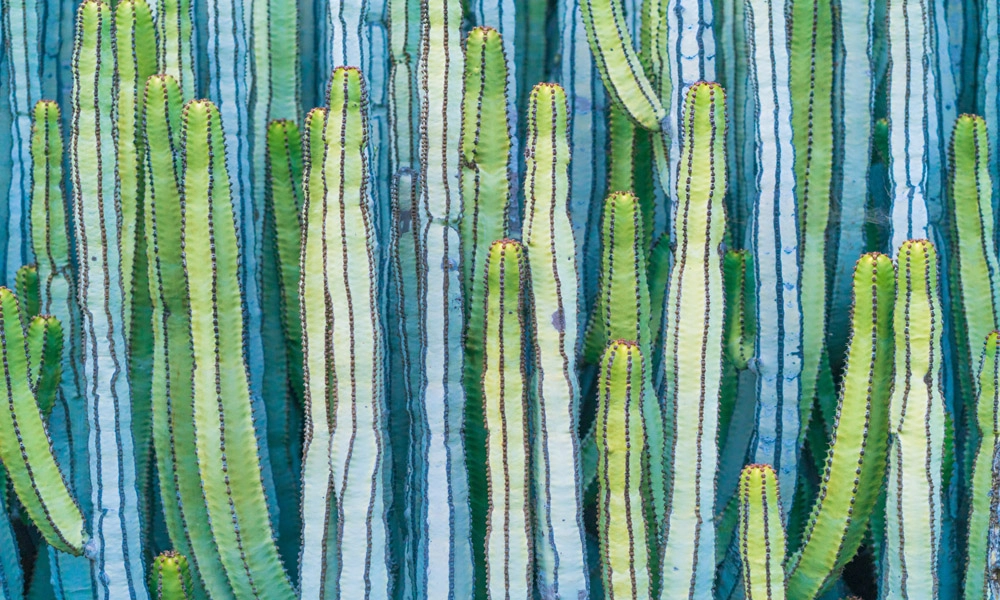 crop image