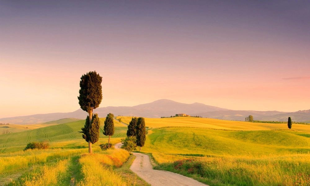 crop image