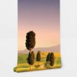 Αυτοκόλλητη Ταπετσαρία τοίχου PODERE TERRAPILLE