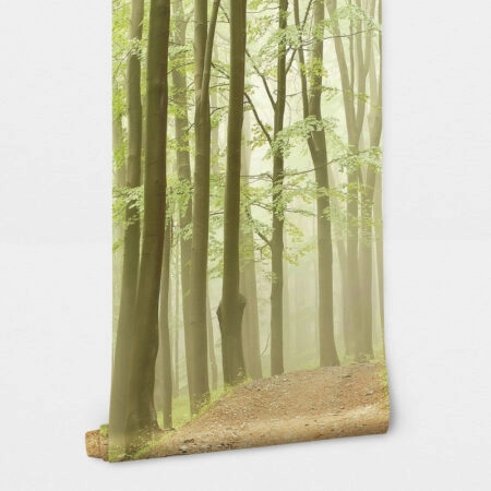 Αυτοκόλλητη Ταπετσαρία τοίχου RAINY FOREST - Τοπία Sticky 2