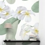 Αυτοκόλλητη Ταπετσαρία τοίχου WHITE PLUMERIA FLOWERS