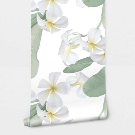 Αυτοκόλλητη Ταπετσαρία τοίχου WHITE PLUMERIA FLOWERS - Floral - Λουλουδια Sticky 2