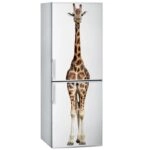 Αυτοκόλλητο ψυγείου GIRAFFE