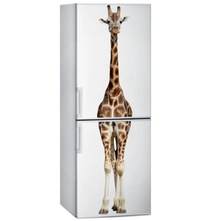 Αυτοκόλλητο ψυγείου GIRAFFE - Αλλα