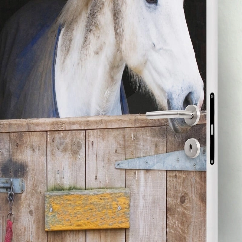 Αυτοκολλητο Πορτας HORSE