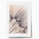 Πόστερ ABSTRACT DANDELION FLOWERS