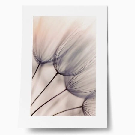 Πόστερ ABSTRACT DANDELION FLOWERS - Botanical - Λουλούδια Sticky 1