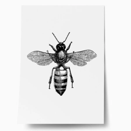 Πόστερ BEE EGRAVING - Ζωα Sticky 1
