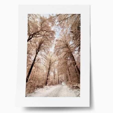 Πόστερ BEIGE WINTER FOREST - Τοπια - Φυση Sticky 1