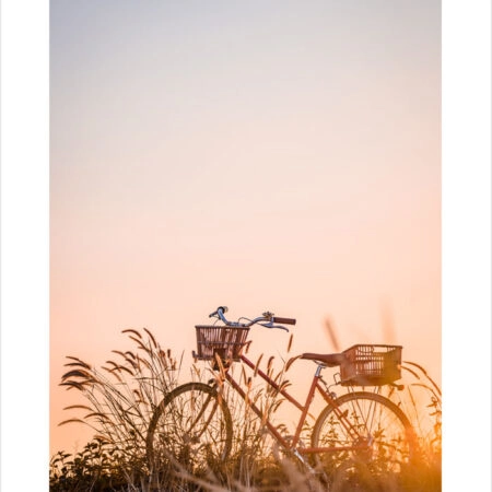Πόστερ BIKE IN FIELD - Τοπια - Φυση Sticky 7
