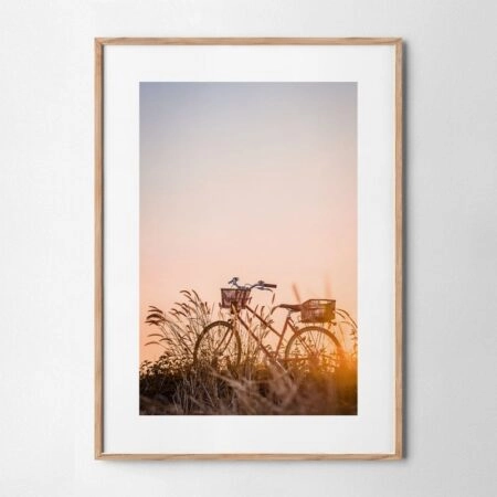 Πόστερ BIKE IN FIELD - Τοπια - Φυση Sticky 4