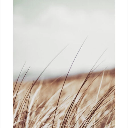 Πόστερ BLUR FIELD - Τοπια - Φυση Sticky 7