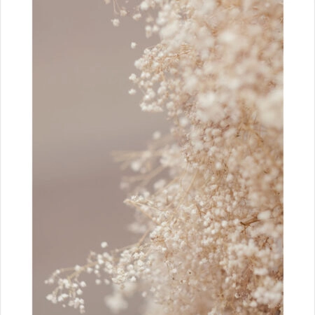 Πόστερ BLURRED WHITE FLOWERS - Botanical - Λουλούδια Sticky 6