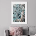 Πόστερ CHERRY BLOSSOM