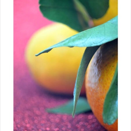 Πόστερ CITRUS ON PURPLE - Botanical - Λουλούδια Sticky 2