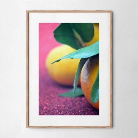 Πόστερ CITRUS ON PURPLE - Botanical - Λουλούδια