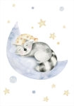 Πόστερ CUTE DREAMING RACOON