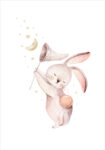 Πόστερ CUTE RABBIT WITH STARS