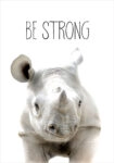 Πόστερ CUTE RHINO