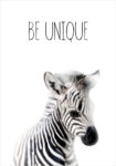 Πόστερ CUTE ZEBRA