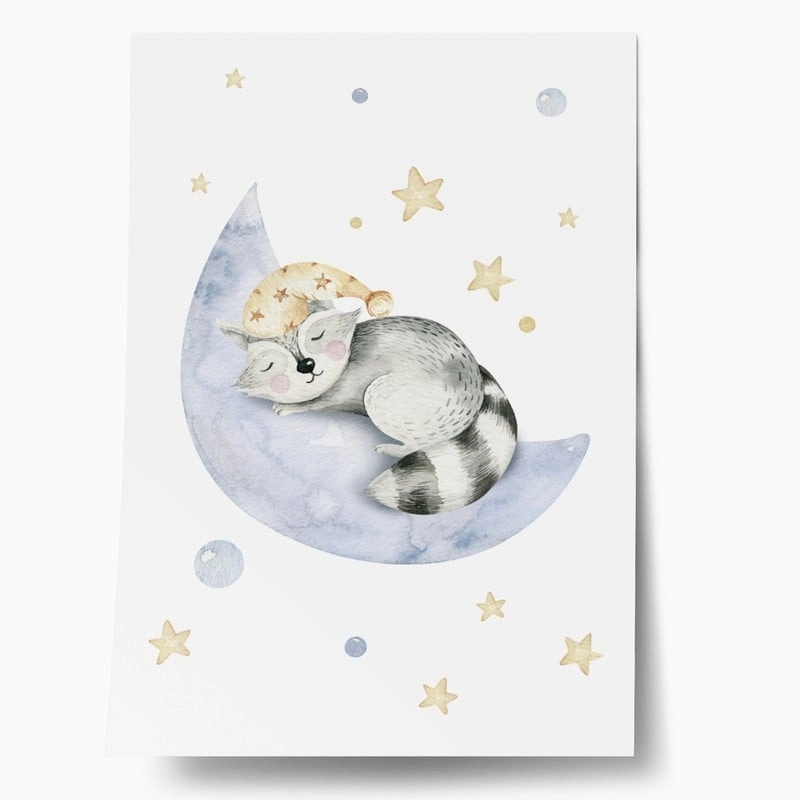 Πόστερ CUTE DREAMING RACOON