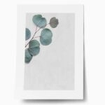 Πόστερ EUCALYPTUS LEAVES
