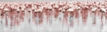 Πίνακας Πανοραμικός FLAMINGOS