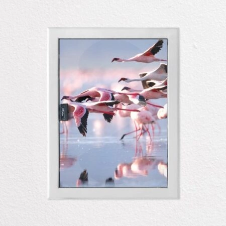Αυτοκόλλητο ηλεκτρολογικού πίνακα FLAMINGOS - Αυτοκολλητα για ηλεκτρολογικούς πίνακες
