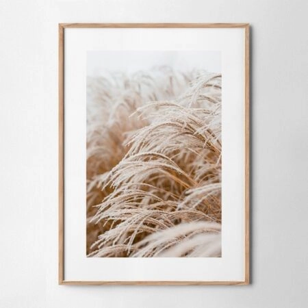 Πόστερ FROSTED GRASS - Τοπια - Φυση Sticky 4