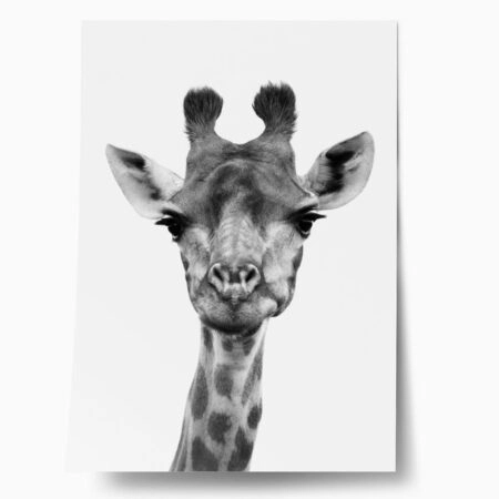 Πόστερ GIRAFFE CLOSEUP BW - Παιδικά Sticky 1