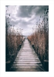Πόστερ LAKE PATH
