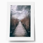 Πόστερ LAKE PATH