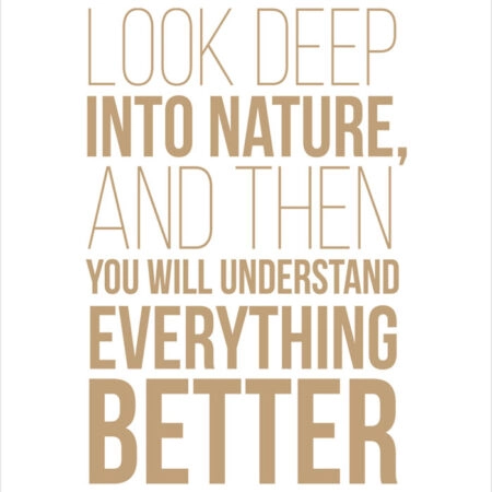 Πόστερ LOOK DEEP INTO NATURE - Φρασεις - Κείμενο Sticky 2