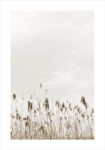 Πόστερ MINIMAL NATURE