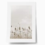 Πόστερ MINIMAL NATURE