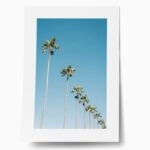 Πόστερ PALM TREES IN BLUE SKY