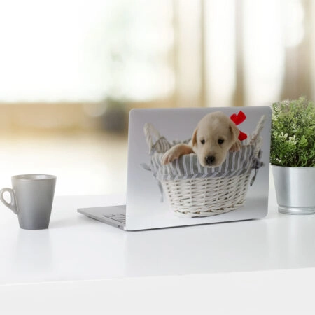 Αυτοκόλλητο Laptop PUPPY - Laptops Sticky 1