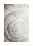 Πόστερ SHELL MACRO