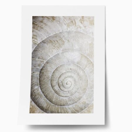 Πόστερ SHELL MACRO - Ζωα Sticky 1
