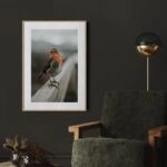 Πόστερ TAME ROBIN