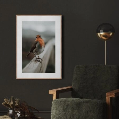 Πόστερ TAME ROBIN - Ζωα