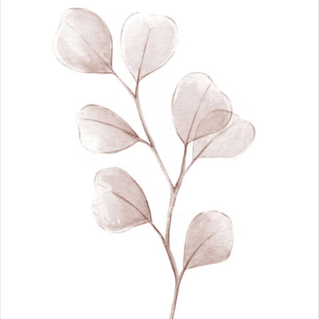 Πόστερ WATERCOLOR EUCALYPTUS LEAVES - Botanical - Λουλούδια Sticky 2