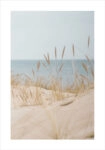 Πόστερ WHITE SAND DUNES