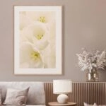 Πόστερ WHITE TULIP FLOWERS