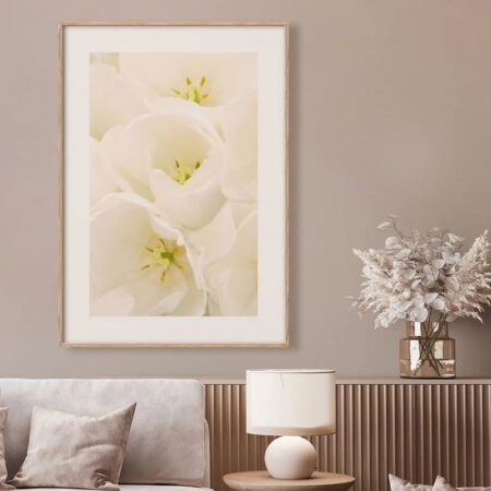 Πόστερ WHITE TULIP FLOWERS - Botanical - Λουλούδια